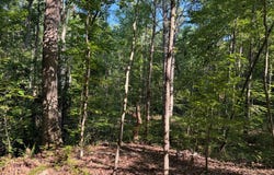 146 Teta Ln, Hodges, SC 29653