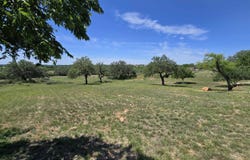 E Tarrant Street, Llano, TX 78643-0000