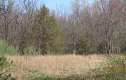V / L Redfield, Edwardsburg, MI 49112