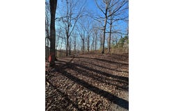 SNOW RD, BIG SANDY, TN 38221