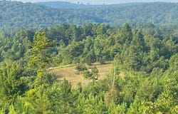 0 Pleasant Ridge Church Road, Fayette, AL 35555