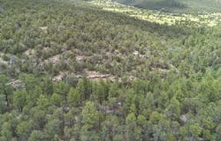 McComb Road, Edgewood, NM 87015