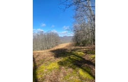 4001 Steven Hole Run Road, Buckeye, WV 24924