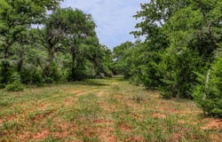 TBD CR 125, Hallettsville, TX 77964