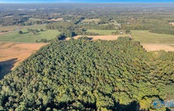 20 Acres Little Coffman Road, Lester, AL 35647