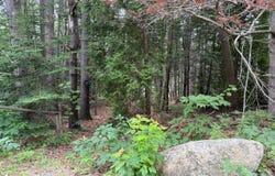Lot# 40 Brickyard Cove Road, Harpswell, ME 04079