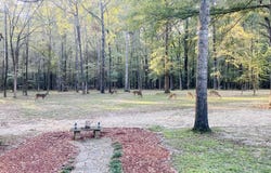 611 S Springlake Circle, Terry, MS 39170