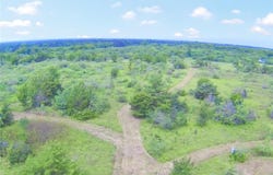 99999 Fm 1696, Iola, TX 77861