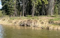 Nhn Old Mill Road, Bigfork, MT 59911