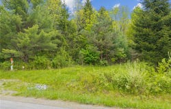 Lot 7C Blackman Hill Road, Caroline, NY 13736