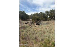 8549 Antelope Drive, Show Low, AZ 85901