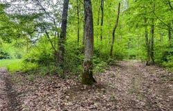 24981 Township Rd 26, Coshocton, OH 43812