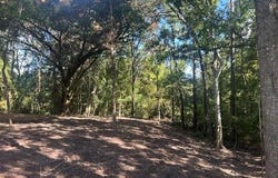 Stepp Road, Robert, LA 70455