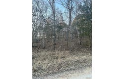 121 Briarwood Terrace, De Soto, MO 63020
