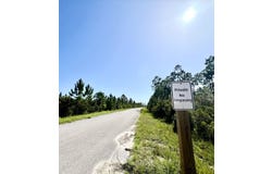 00 E Marsh Line Rd, Wewahitchka, FL 32465