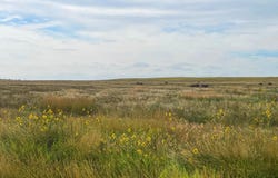 Cheyenne County CRP North, Potter, NE 69156