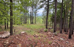 123 E Bolen Hollow W, Pittsburg, OK 74560