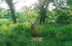 12071 SE Texas Rd, Kincaid, KS 66039