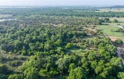 CR 241, Clyde, TX 79510