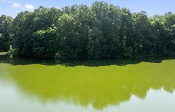 9037 Bolling Heights Lane, Maceo, KY 42355
