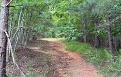 Old Lowgap Road, Lowgap, NC 27024