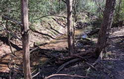 272 Deadwood RD, Cedar Creek, TX 78621