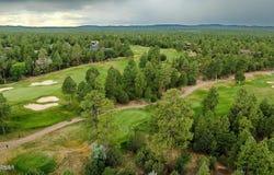 2980 W BLACK OAK Loop, Show Low, AZ 85901