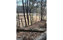 Log Swamp Drive, Jasper, GA 30143