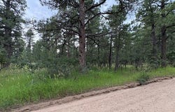 Birch Dr, Rye, CO 81069
