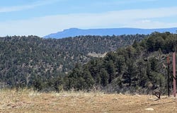 11958 Cielo Grande Rd, Weston, CO 81091