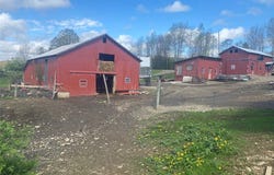 4479 Carson Road, Allen, NY 14709