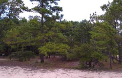2327 False Cape Road lot: #14, Corolla, NC 27927