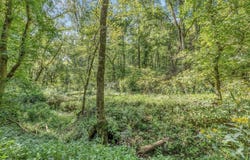 00 Greencastle Road, Bowling Green, KY 42101