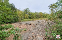 of Luther Shepard Rd., Burkesville, KY 42717