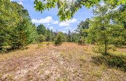 V/L 40 A S Locust Avenue, White Cloud, MI 49349