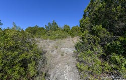 11266 Condor Pass, Helotes, TX 78023