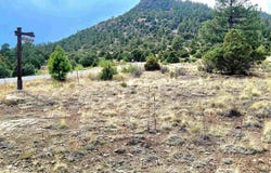 Little Bear Circle Lot 41, South Fork, CO 81154