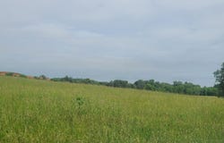 Lot 5 Valley Home Road, Dandridge, TN 37725