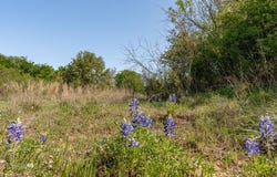 Tbd County Road 322, Gustine, TX 76455