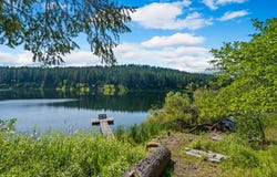 890 McCaffery Road, Bigfork, MT 59911