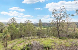 13859 MELVIN RD, Hermosa, SD 57744