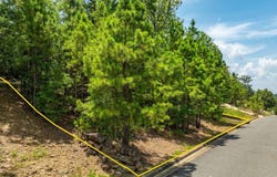 17205 Waterview Meadow Boulevard, Roland, AR 72135