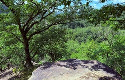 0 Two Mile Run Rd., Franklin, PA 16323