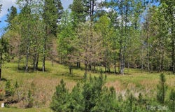 2109 Inlet Shore Road NE, Connelly Springs, NC 28612