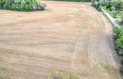 ANDREW Rd, Mason, TN 38049