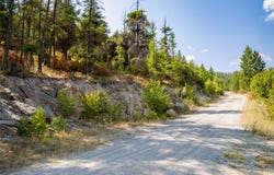 222 Eagle View Road, Kila, MT 59920