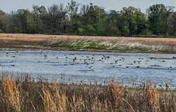 1962 acres Upper Lockhart Road, Cord, AR 72524
