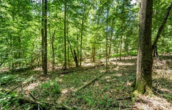 Setzer Drive, Morganton, NC 28655