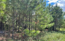 Hwy 7, Grenada, MS 38901