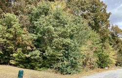 13,14 Forest Home Drive, Trinity, AL 35673